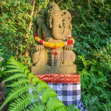 Rumah Indo Garden Wilp